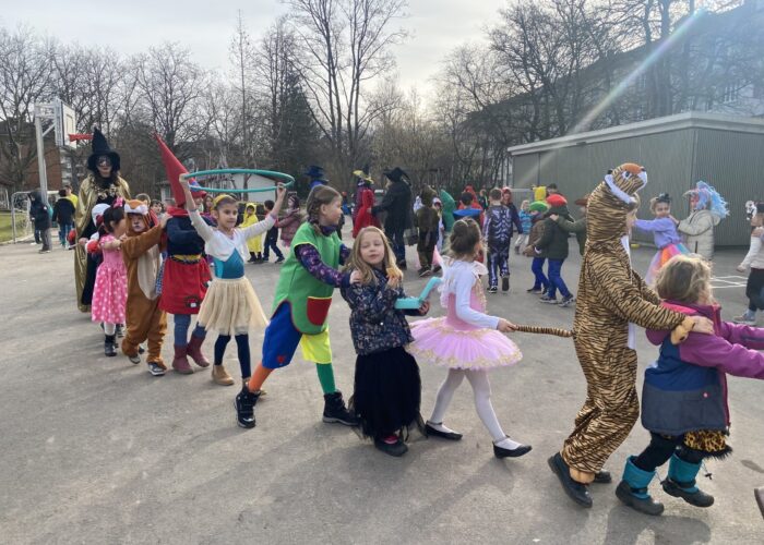 Image (27) Image (27)